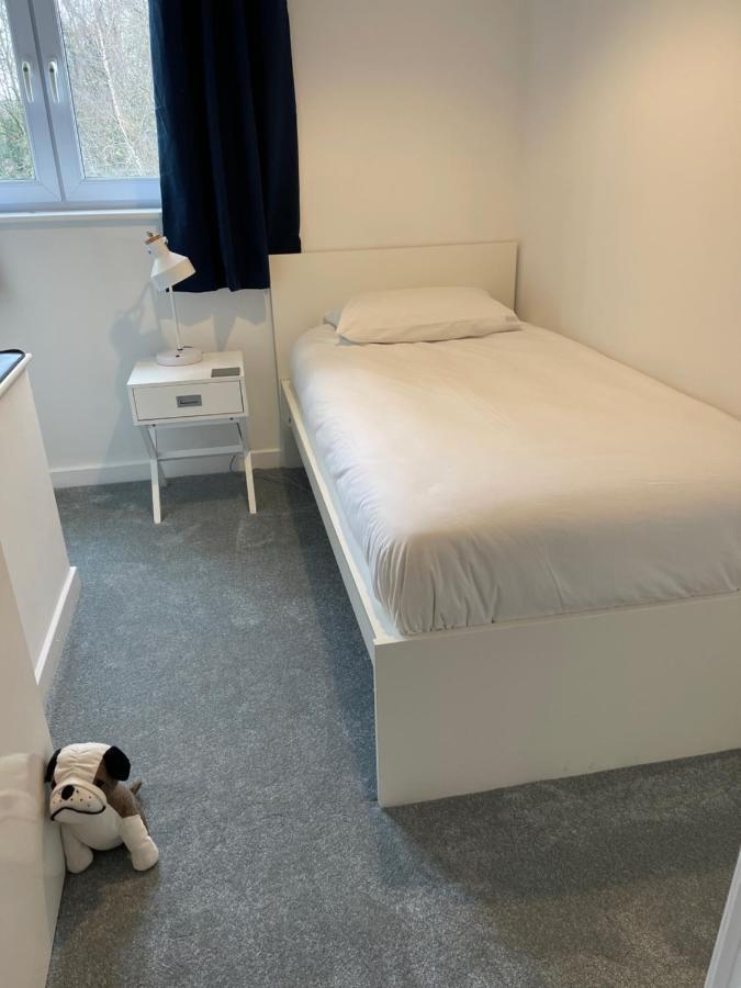 The Beeches - Serviced Duplex Apartment Sheffield Exterior foto